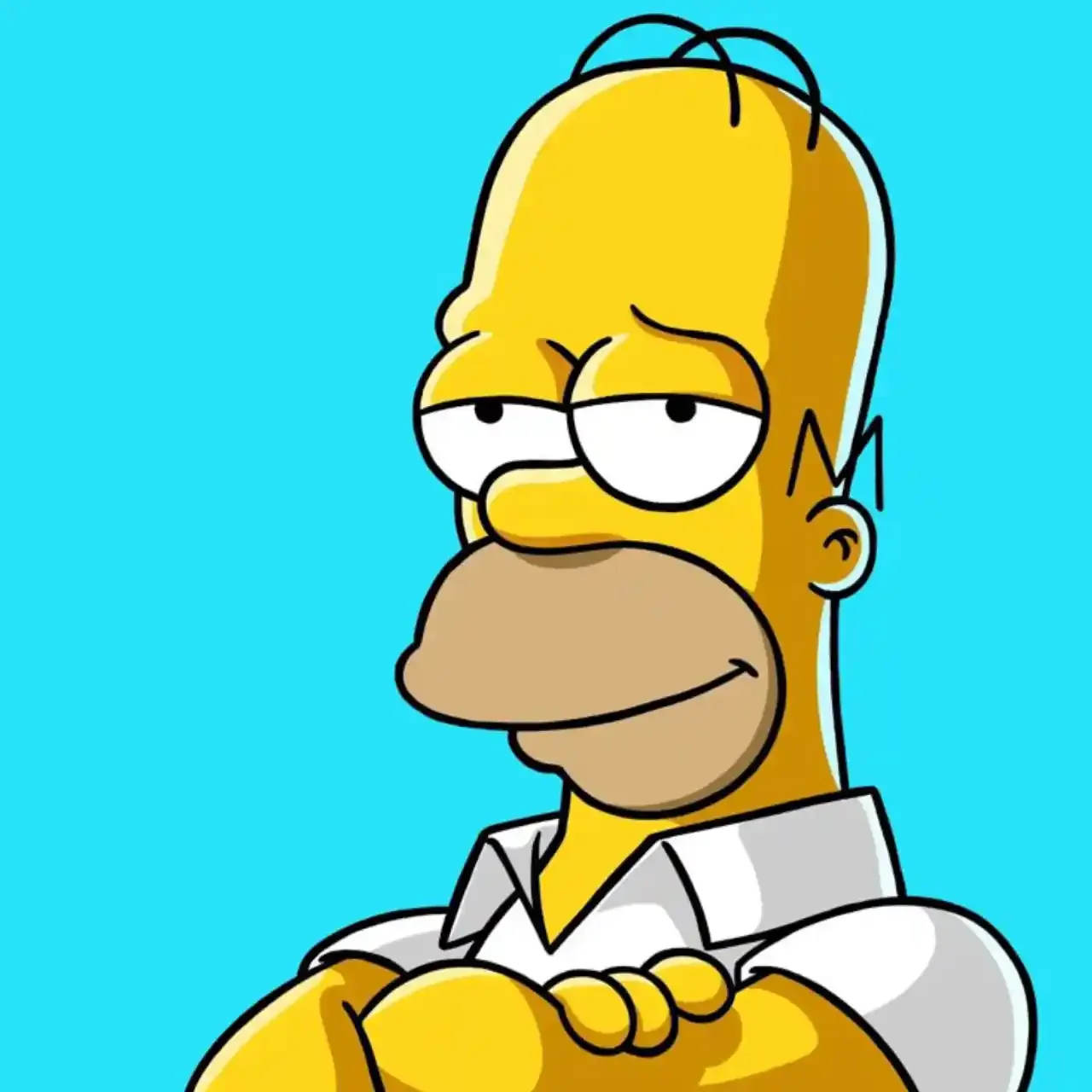 Homero Simpson